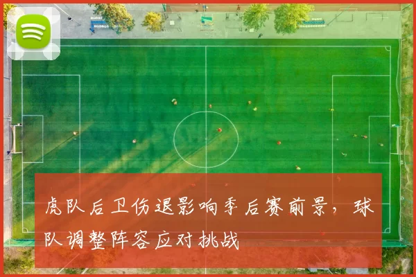 虎队后卫伤退影响季后赛前景,球队调整阵容应对挑战