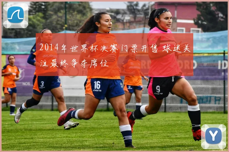 2014年世界杯决赛门票开售 球迷关注最终争夺席位
