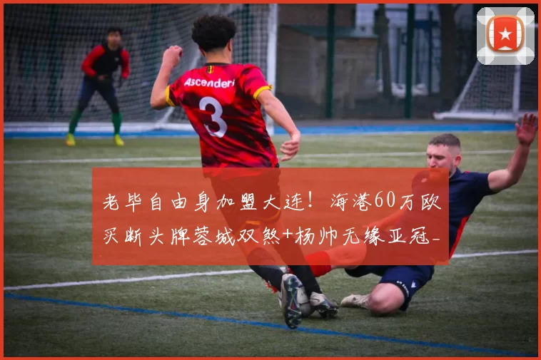 老毕自由身加盟大连!海港60万欧买断头牌蓉城双煞+杨帅无缘亚冠_加布里埃尔_赛季_1