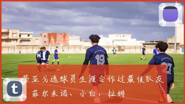 蒂亚戈选球员生涯合作过最佳队友：菲尔米诺、小白、拉姆