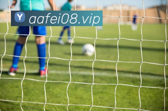 kaiyun「中国大陆」云开·门户网站 - 官方网站|登录入口发展历程