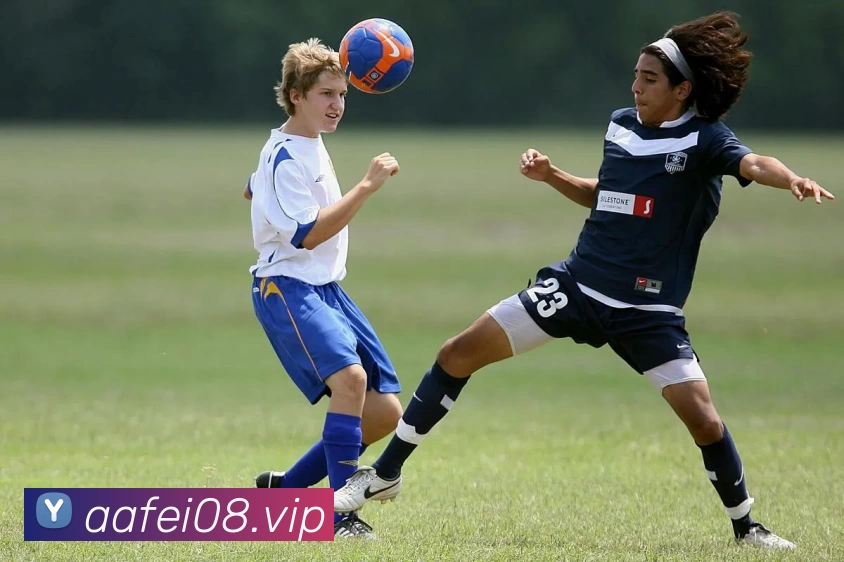 kaiyun「中国大陆」云开·门户网站 - 官方网站|登录入口服务体系