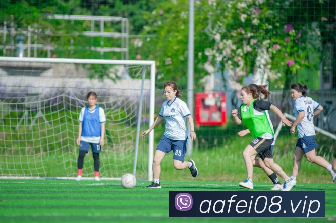 多媒体互动体验